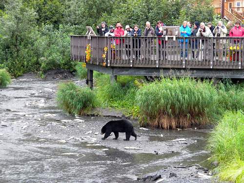 Mt McKinley Princess Wilderness Lodge