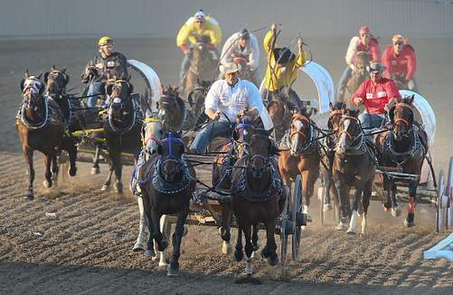 Calgary Stampede