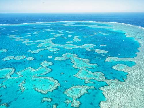 Great Barrier Reef Cruise