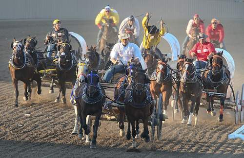 Calgary Stampede