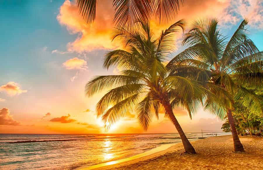 Mango Bay, Barbados