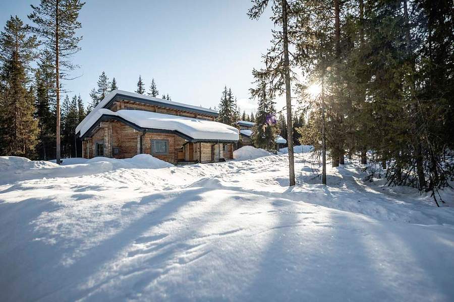 Sunday Morning Cabins