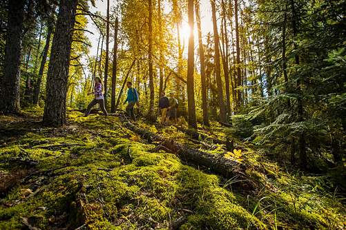 Prince Albert National Park