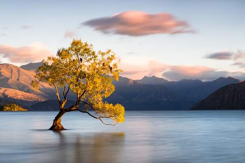 New Zealand