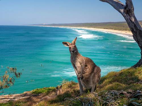 North Stradbrooke Island Tour