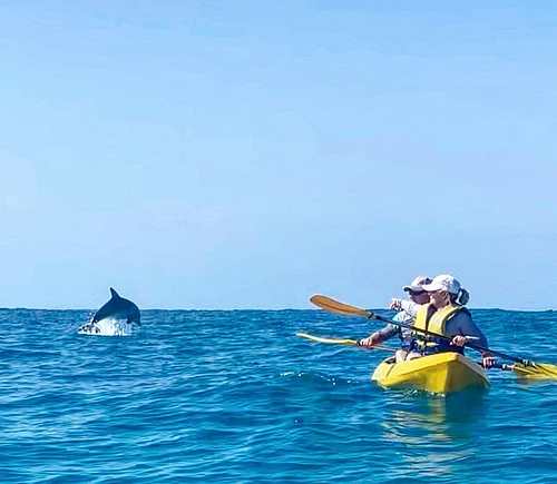 Whale Watching Ocean Kayaking & Beach 4WD Tour