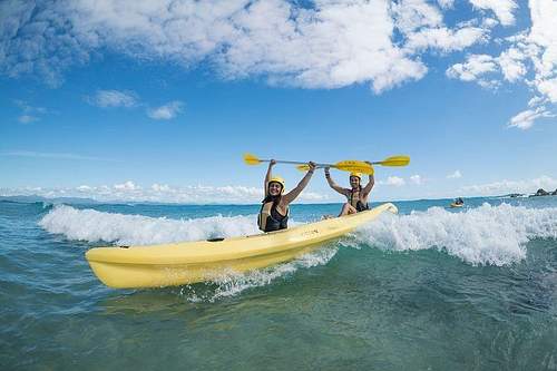 3 Hour Guided Kayak with the Dolphins Tour