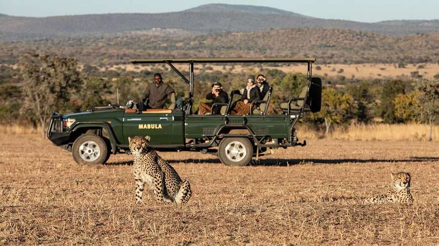 On Safari in South Africa - Elephant Lodge,  South Africa