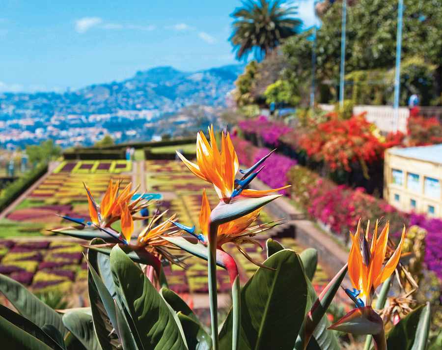 Madeira - The Pearl of the Atlantic,  Madeira