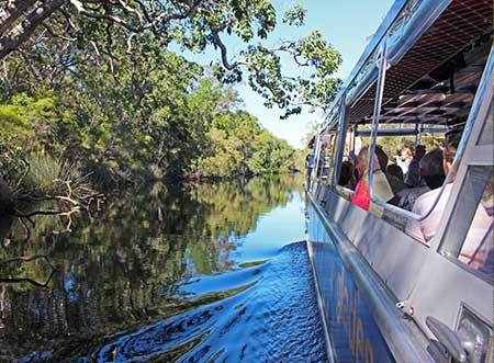 Full Day Noosa Everglades Tour