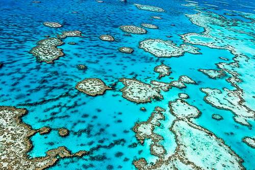 Great Barrier Reef Cruise