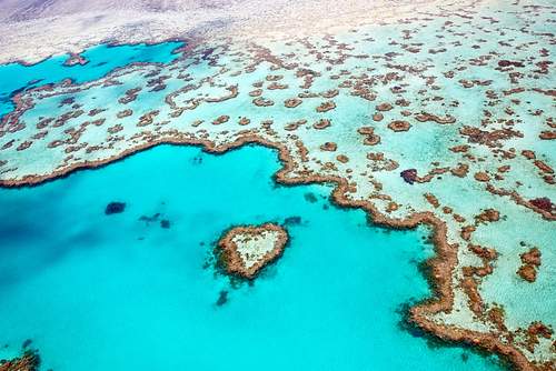 Heart Reef & Whitehaven Beach Express