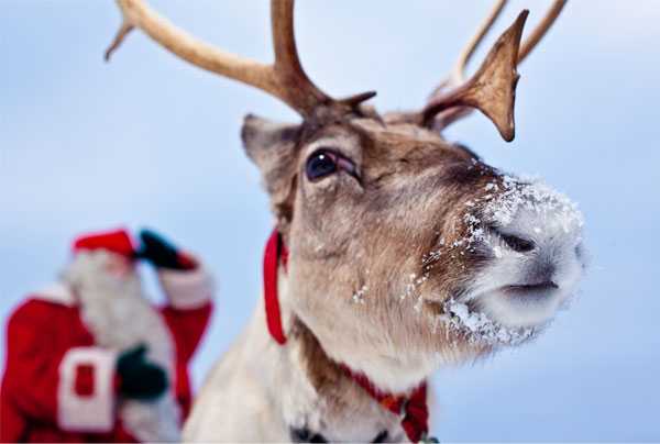 Lapland Holidays