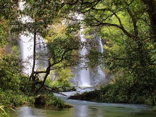 Cape Tribulation, Daintree & Mossman