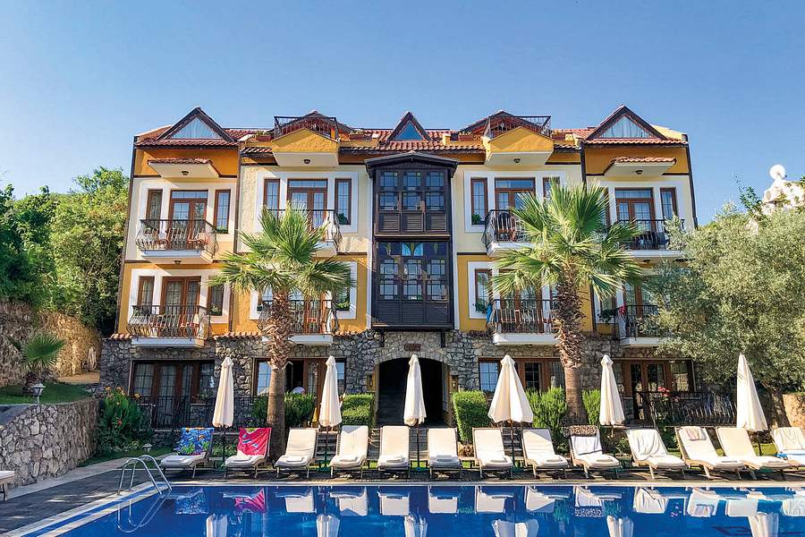 Olive Tree Studios, Turkey