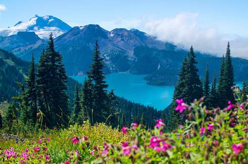 My Whistler Experience