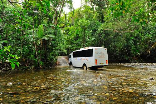 Escorted Tours