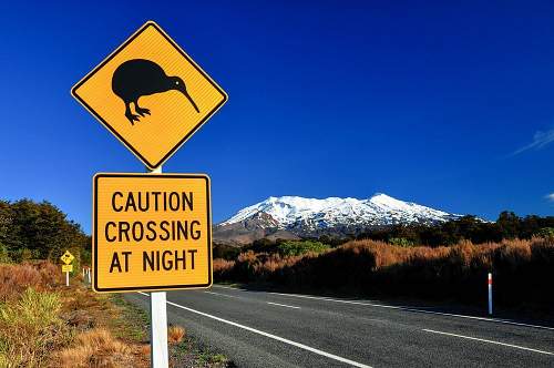 New Zealand Motorhome Holidays