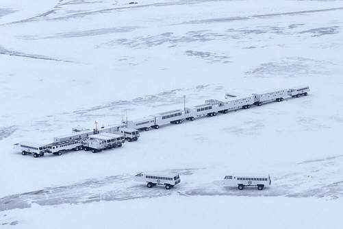 Tundra Buggy Lodge
