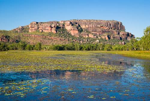 Full Day Kakadu Wilderness Escape with Croc Cruise