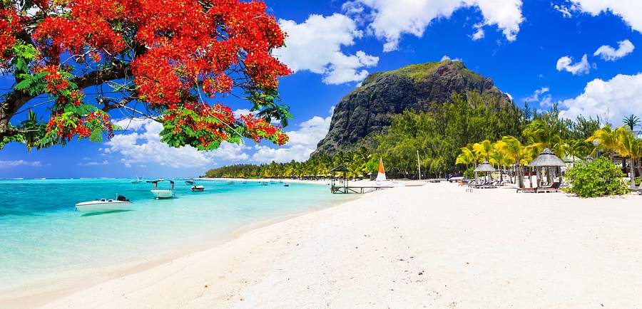 Indian Ocean